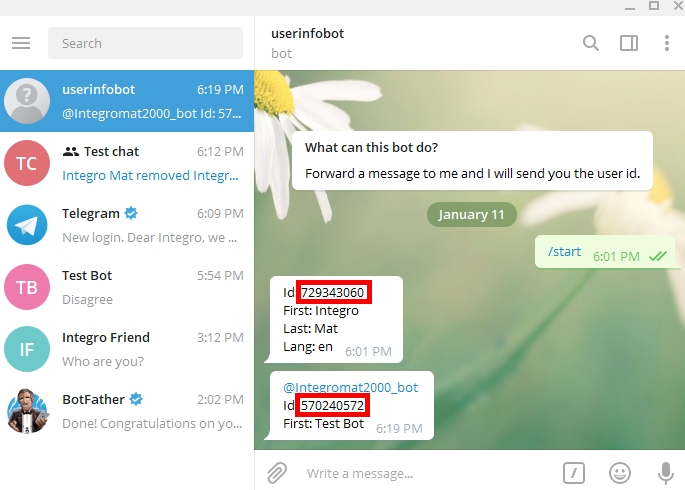 Telegram官方电脑版下载教程：Windows系统安装指南