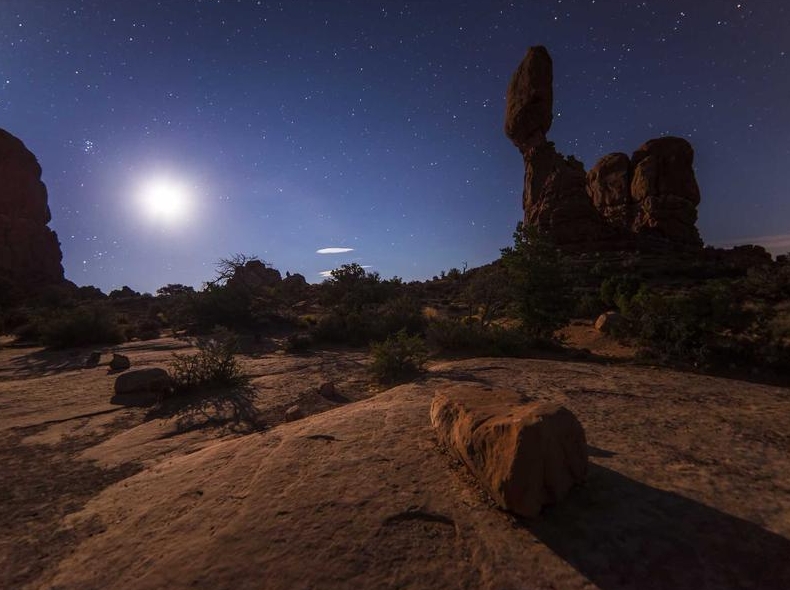 telegram官网社区论坛用户交流板块活跃度
