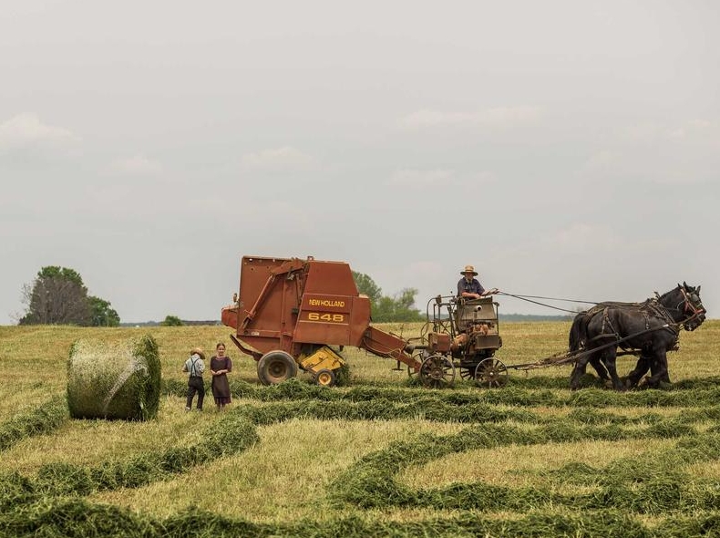 telegram下载桌面端与移动端功能差异解析