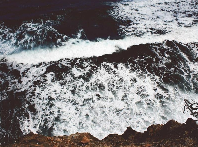 Telegram官方Twitter/X账号：最新动态与版本发布追踪