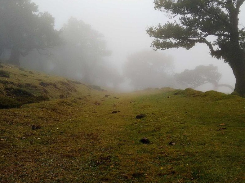 telegram官网移动端iOS Android差异比较