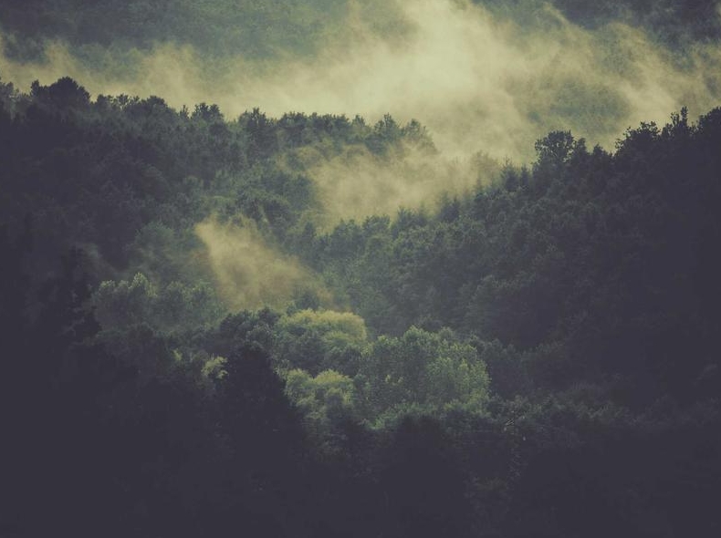 telegram官网认证徽章申请品牌官方账号标识