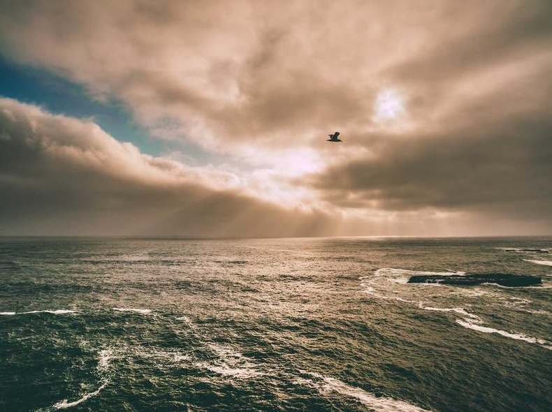 Telegram官方双重验证设置:2FA两步验证开启指南