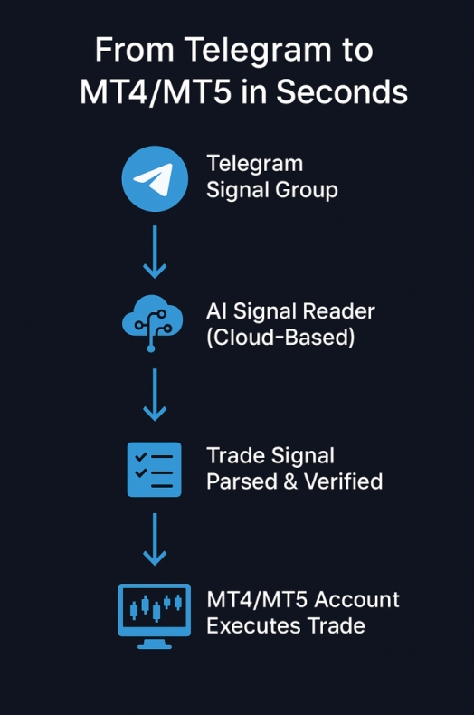 Telegram官方下载地址：telegram.org正版安装包获取指南