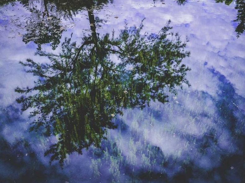 telegram下载过程中杀毒软件误报处理方案