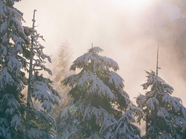 telegram下载Fire TV Stick亚马逊设备适配版