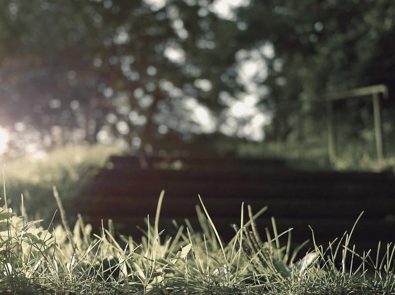 Telegram官方开源地址：GitHub源码仓库与MTProto协议