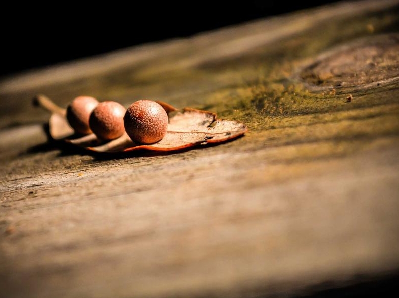 telegram官网聊天背景主题个性化定制指南