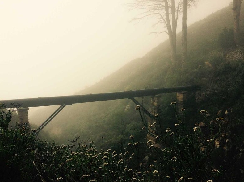 telegram官网服务器分布全球节点架构揭秘