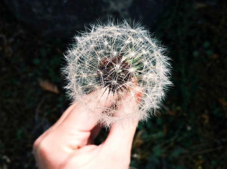 telegram官网新闻频道官方公告订阅方式