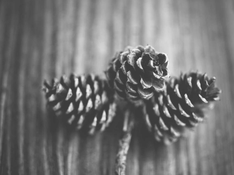 telegram下载多设备批量部署脚本自动化