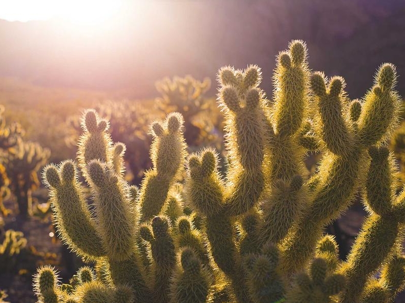 telegram下载智能手表消息推送延迟优化