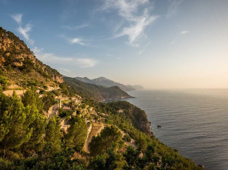 Telegram官方客服联系方式:支持中心与问题反馈入口